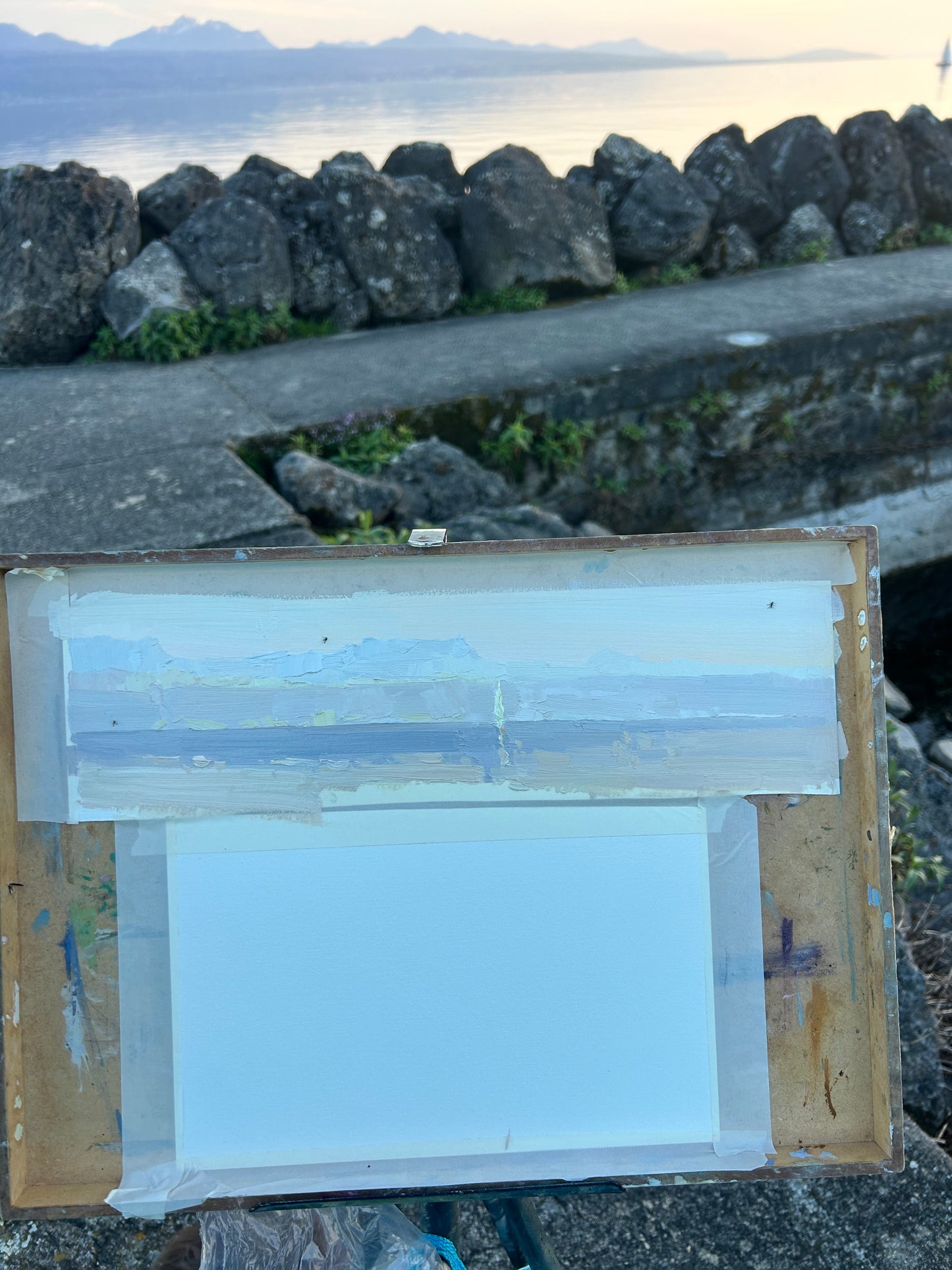 Sunset sailing. 8th April 2025. Lutry Port. 8x36.5 cm