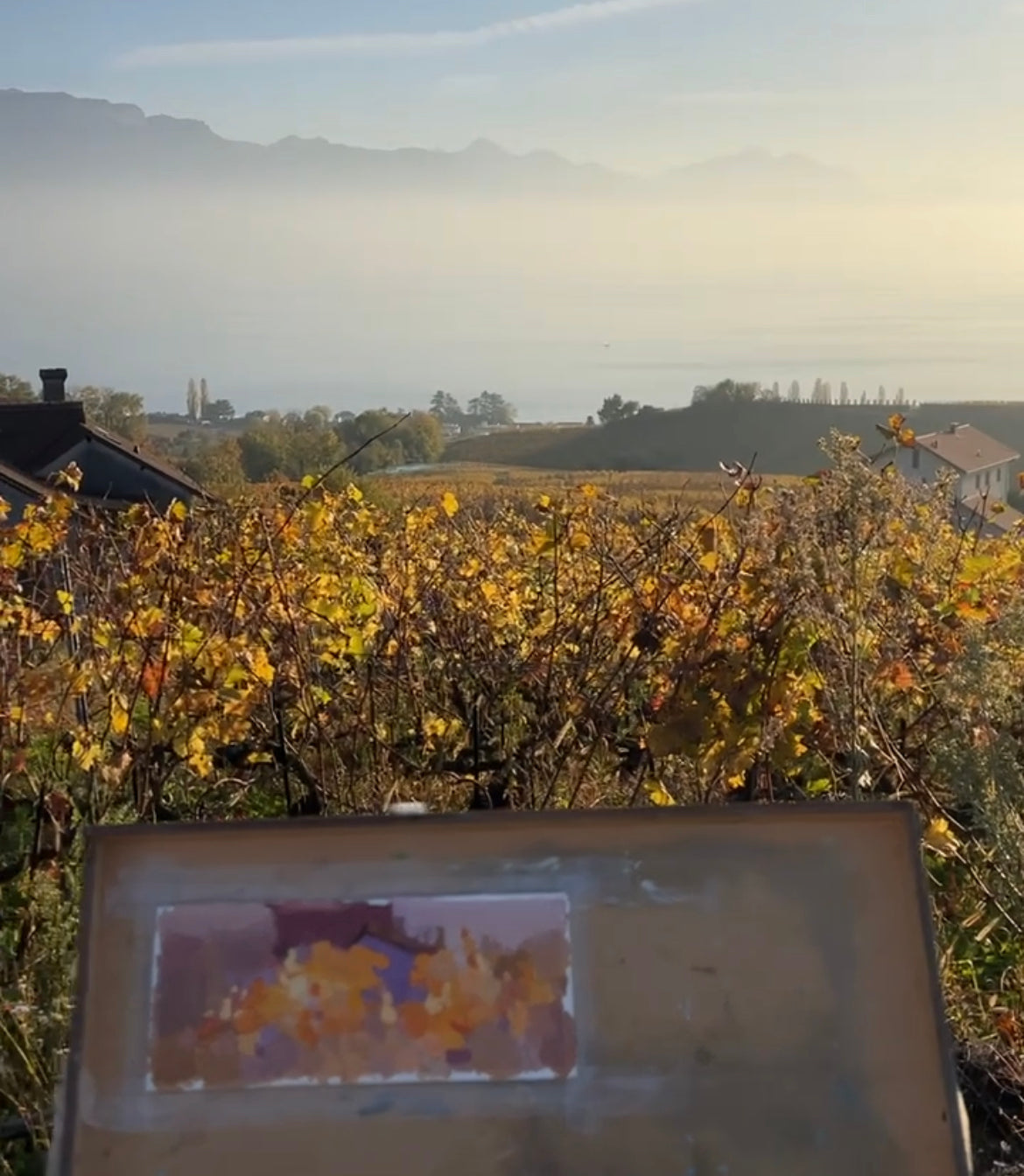 .Autumn Vineyards. Bossières. 7x20 cm
