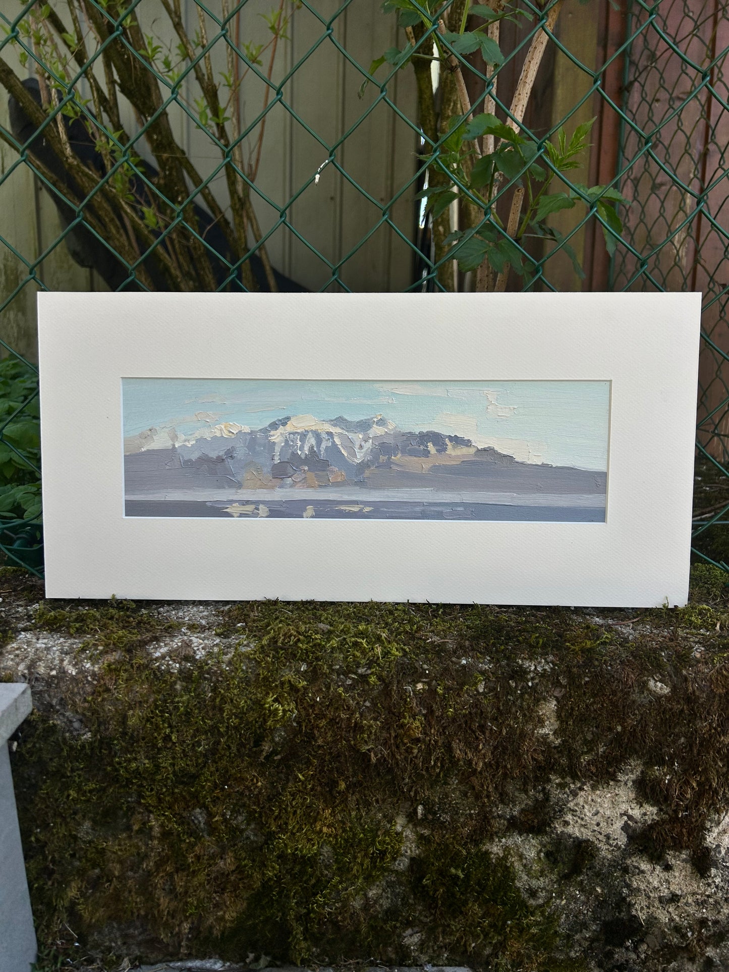 The last snow. 19.03.2025 10x36 cm