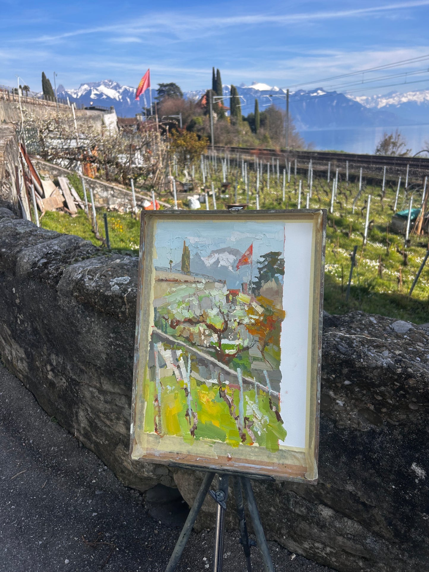 Frühlingsfest. Blüte und Weinreben in St. Saphorin. 24.03.2026. 22x36 cm