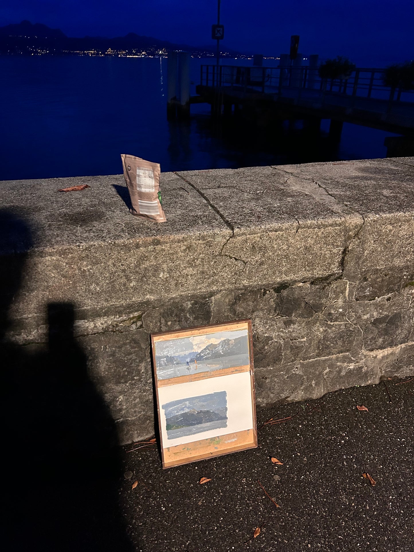 October night in Lutry port. 7.10.2024. 9.5x18.5cm