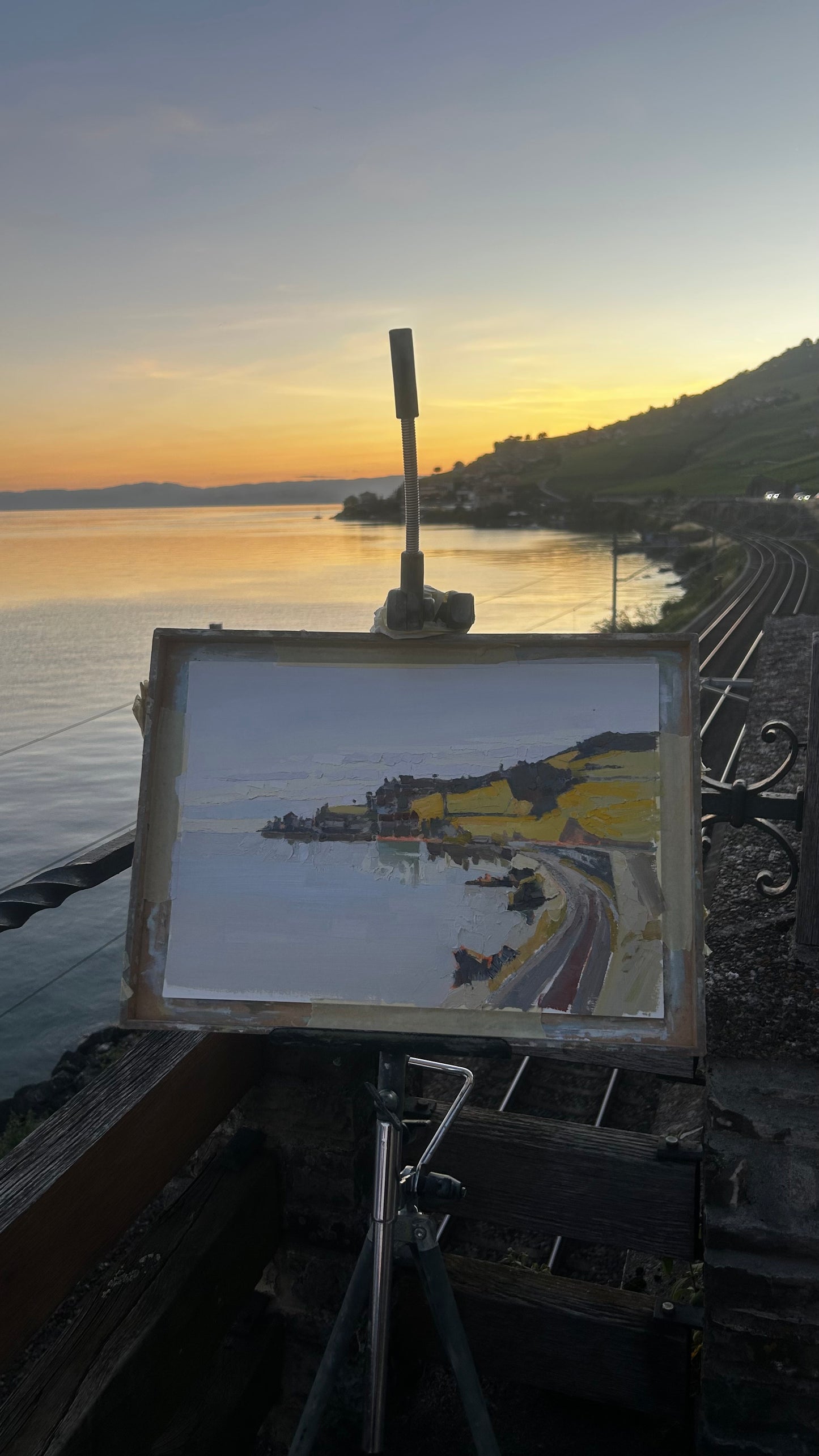 ! St Saphorin. Sunset in LAVAUX. 12.06.2026. 20.5x36.5 cm