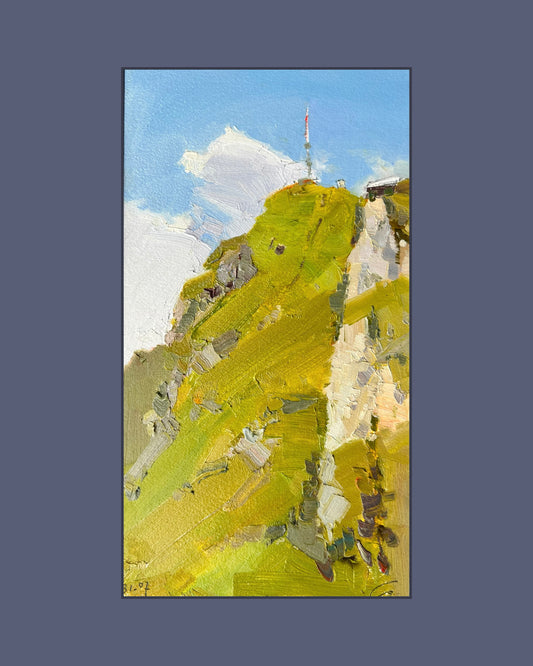 0 Grand Chamossaire, peak of the summer. 31 July 2025. 14.5x26.5 cm