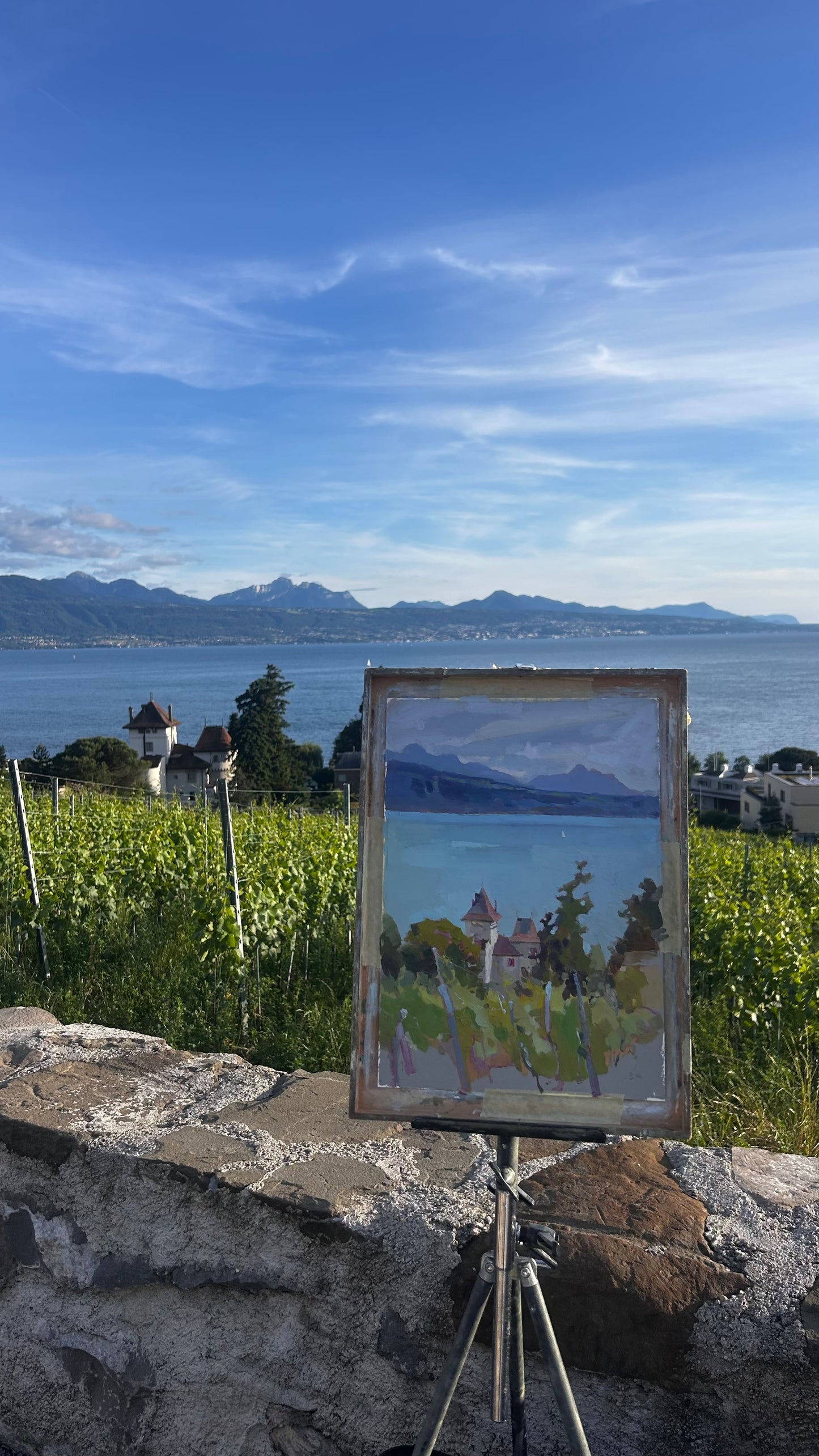 ! Les vignes. Lutry. 3.06.2026. 26x37 cm