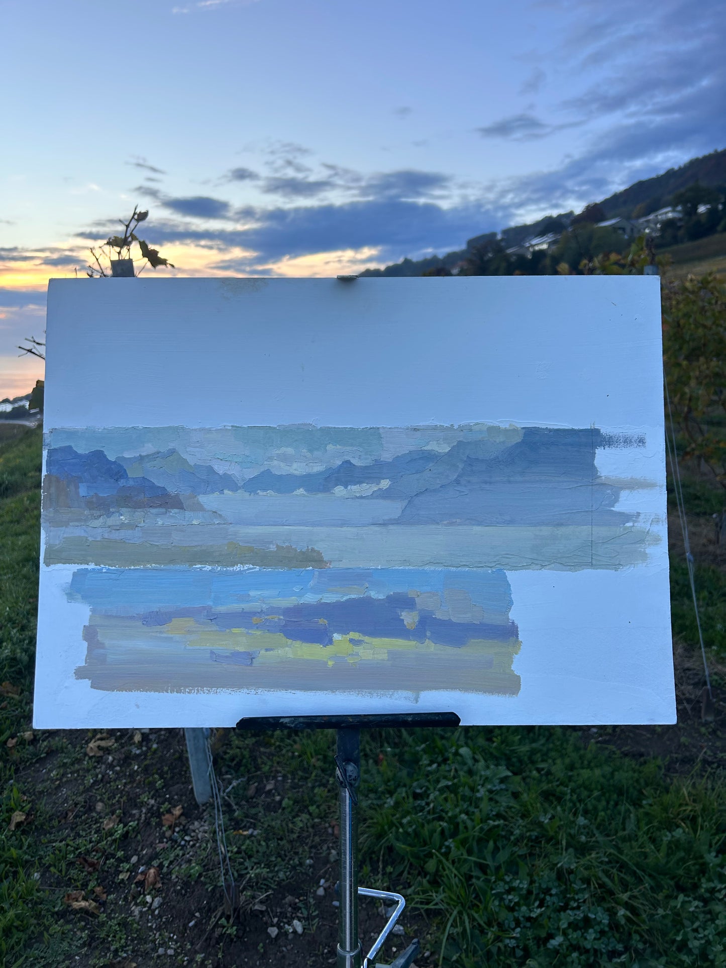 0 Photos from my plein air sessions. And you can send me for ☕️ >