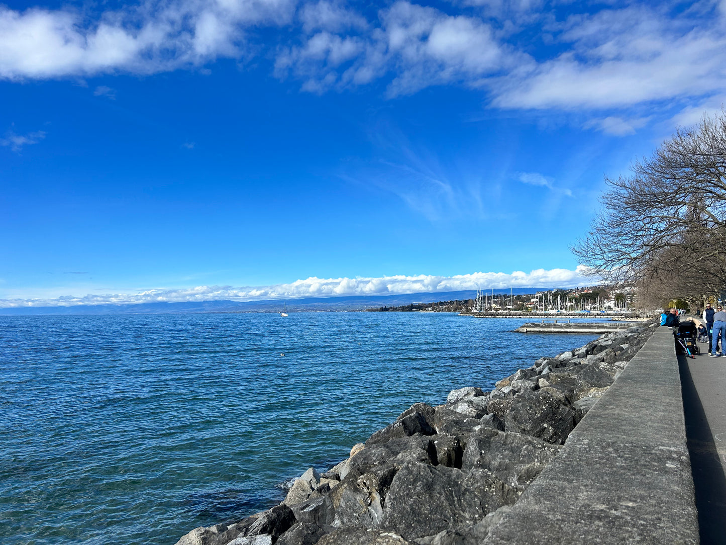 Clouds like sheeps above Léman and Belle Epoque. 23.03.2025. 12x37 cm