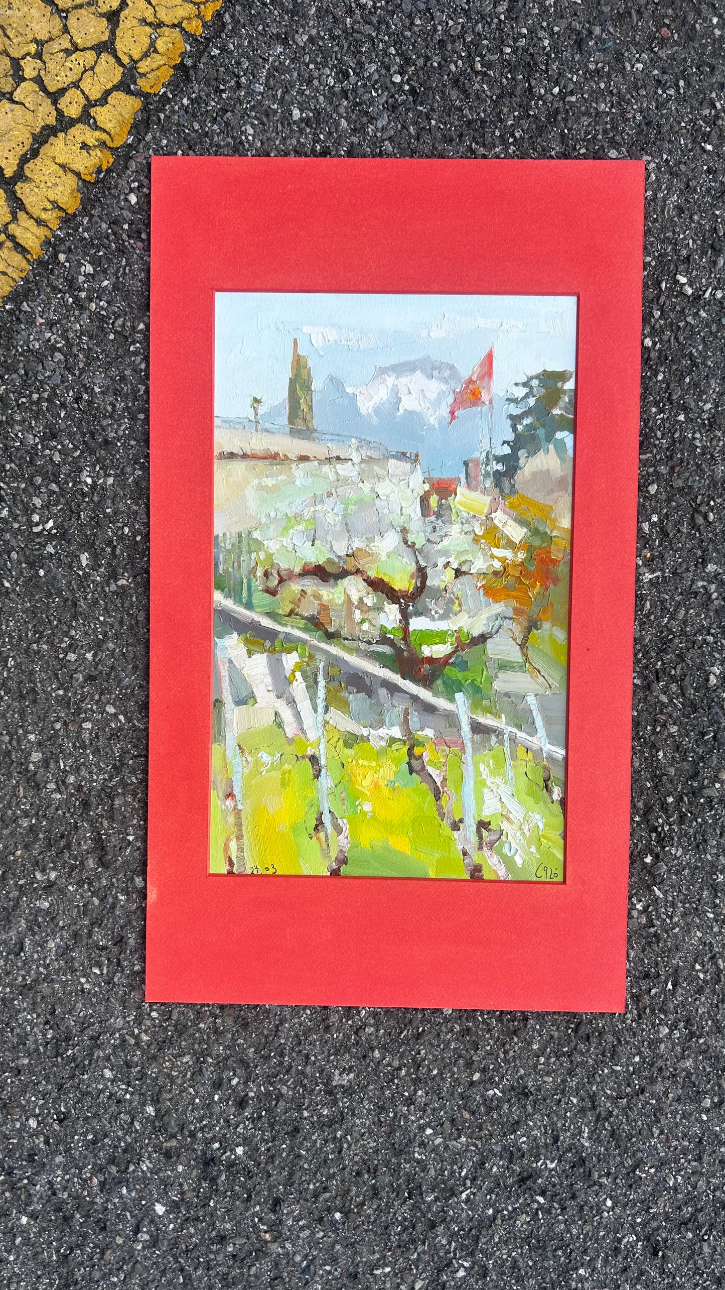 Frühlingsfest. Blüte und Weinreben in St. Saphorin. 24.03.2026. 22x36 cm
