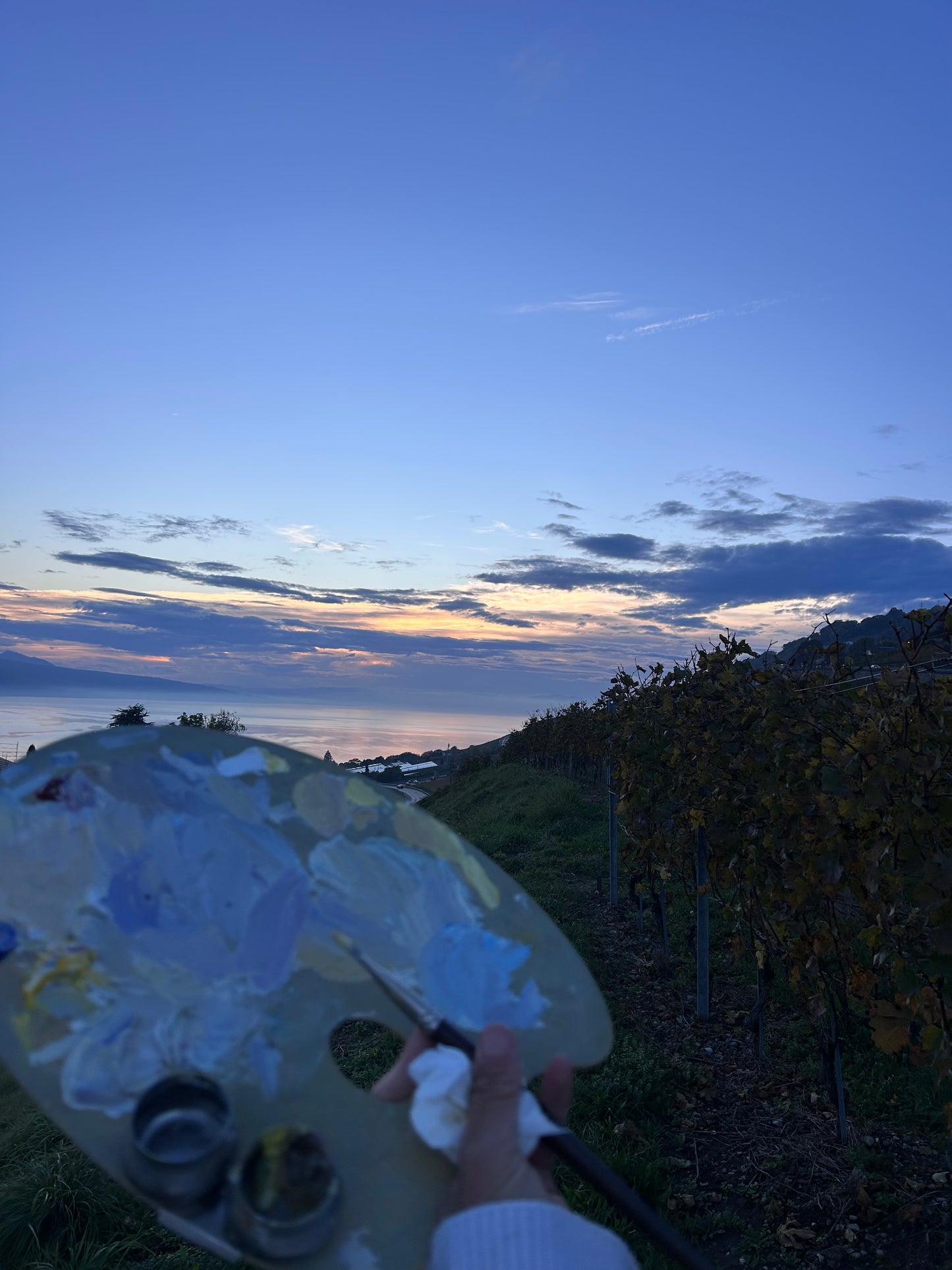 0 Photos from my plein air sessions. And you can send me for ☕️ >