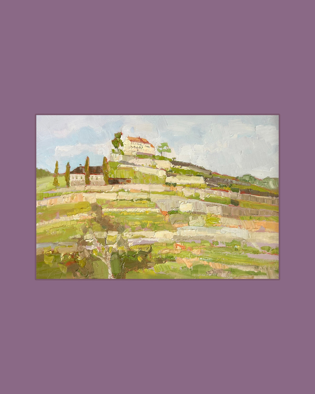Vineyards in spring. April 2026. 25x36.5 cm.