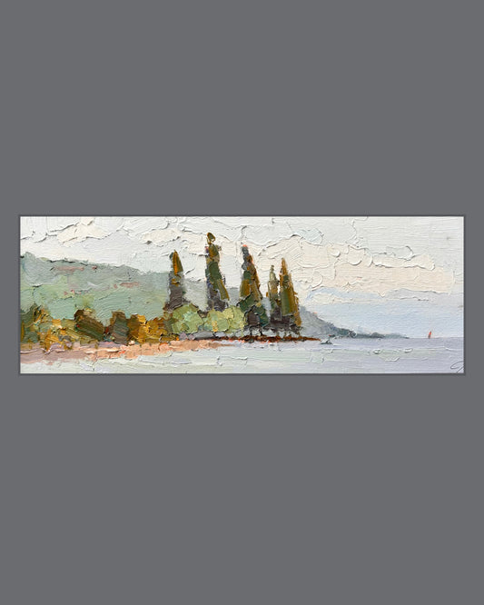 *Saturday morning foggy light, Lutry, Léman. 23.08.2025. 10.5x30 cm