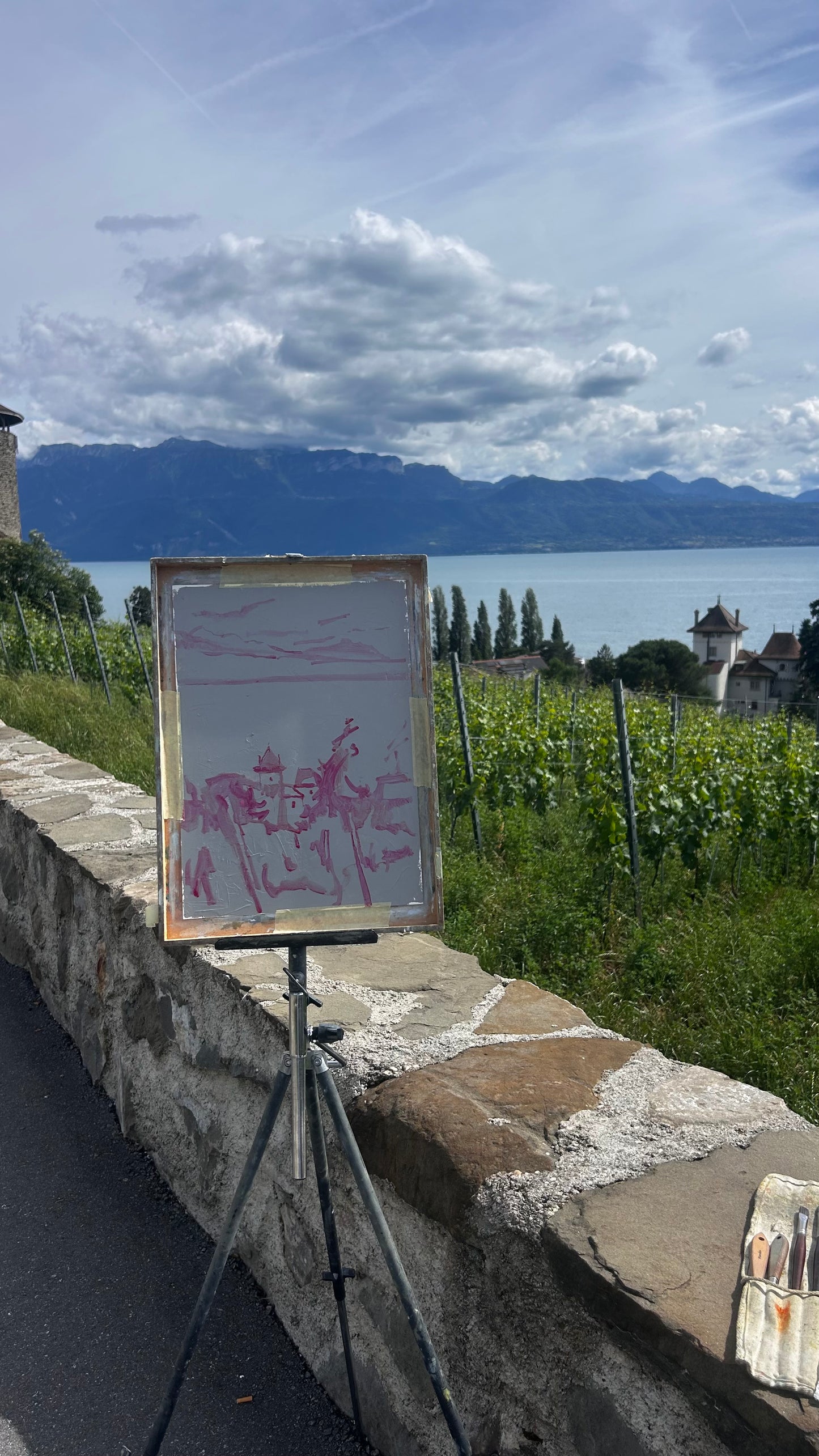 ! Les vignes. Lutry. 3.06.2026. 26x37 cm