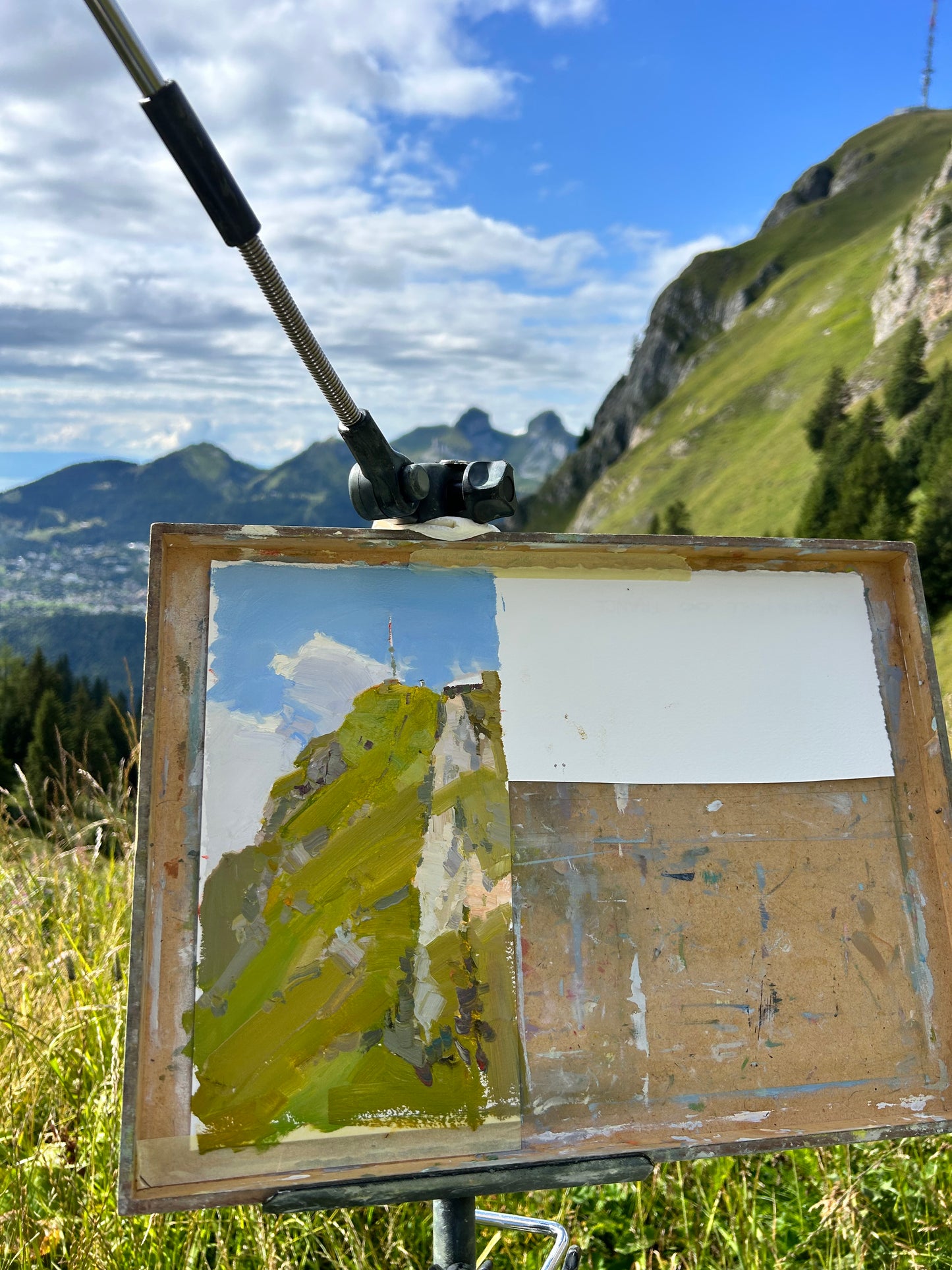 0 Grand Chamossaire, peak of the summer. 31 July 2025. 14.5x26.5 cm